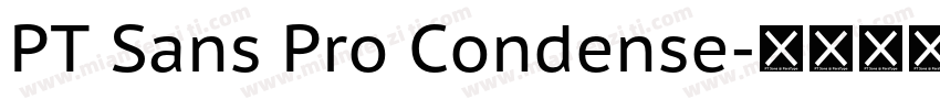 PT Sans Pro Condense字体转换
